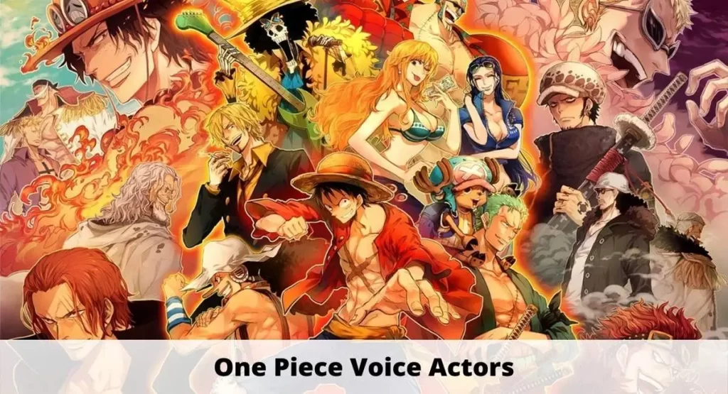 One Piece English Voice Actors