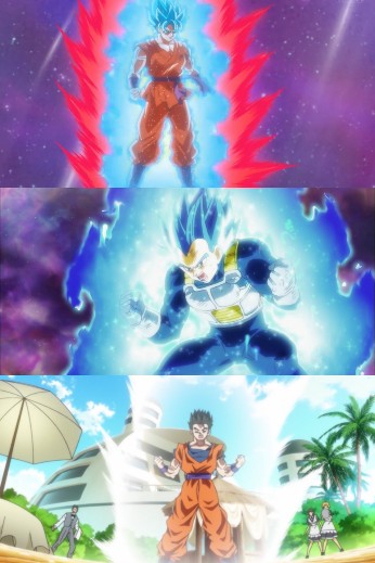 Son Goku Saitama